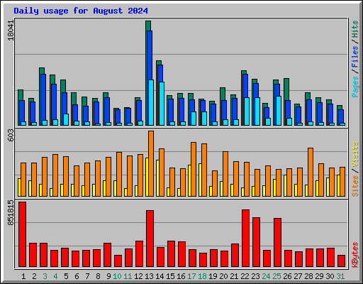 Daily usage for August 2024