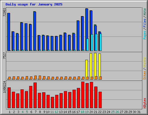 Daily usage for January 2025