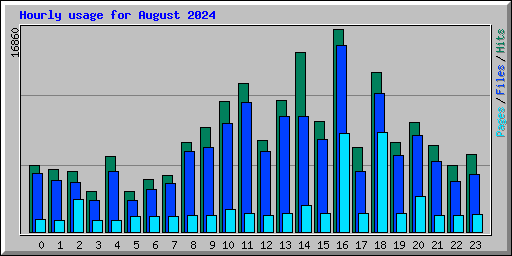 Hourly usage for August 2024