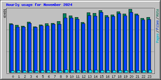 Hourly usage for November 2024