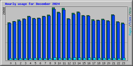 Hourly usage for December 2024