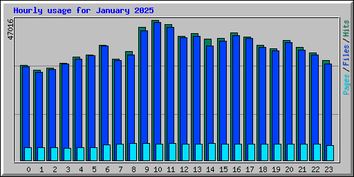 Hourly usage for January 2025