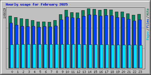 Hourly usage for February 2025