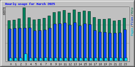 Hourly usage for March 2025