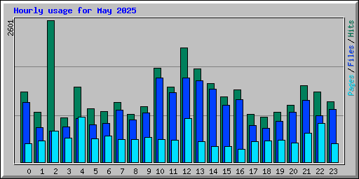 Hourly usage for May 2025