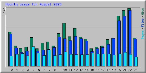 Hourly usage for August 2025
