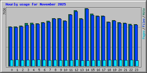 Hourly usage for November 2025