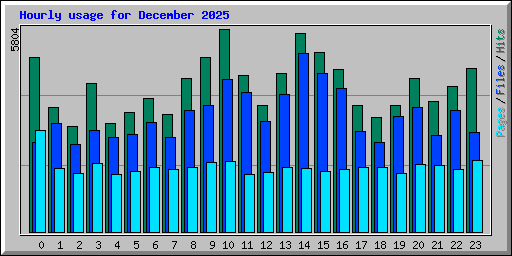 Hourly usage for December 2025