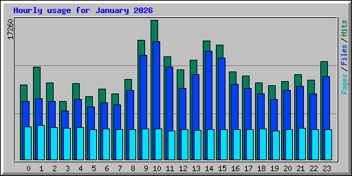 Hourly usage for January 2026